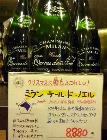 ミラン・テール・ド・ノエル.jpg