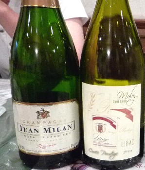 ミランとマヴィ.jpg