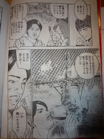ムーラン・オーラロック・神の雫本編3.jpg