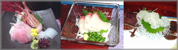 国府津館お刺身.jpg