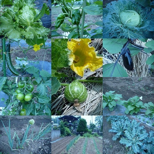 北田屋畑連結写真.jpg