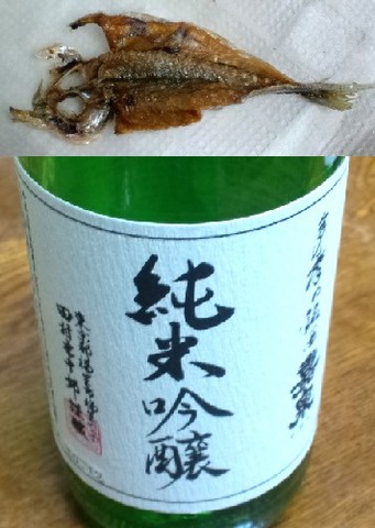 小鯵のフライとお酒.jpg
