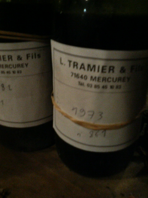 P1002411.jpg