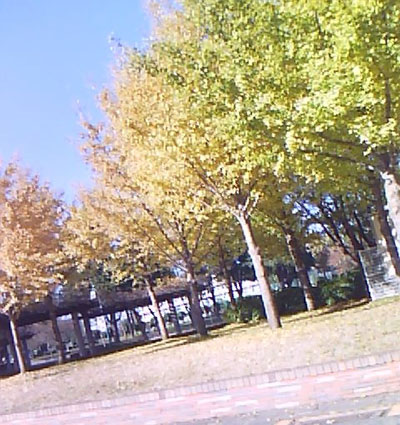 SA2900921.jpg