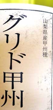 koshu2010_1.jpg