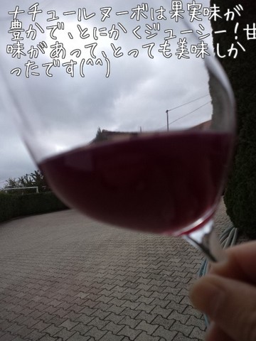 m_201110122138314e958a47a7f84.jpeg